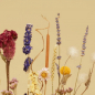 Preview: BLOOMON - Floral Picnic