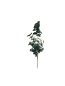 Preview: ASA-Eukalyptuszweig, Grün